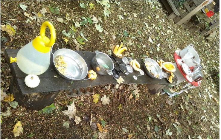 Forest School Training 1