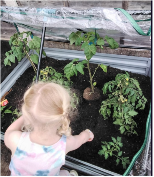 Tomatoes, Trowels, and Tiny Gardeners 1