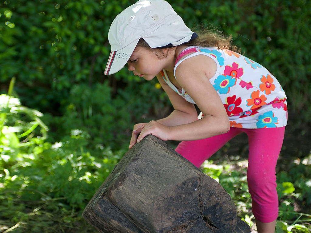 Outdoor play and discovery area at Tiny Toez Westfield